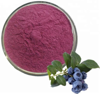 Bilberry - 16 oz. (16-32 servings)