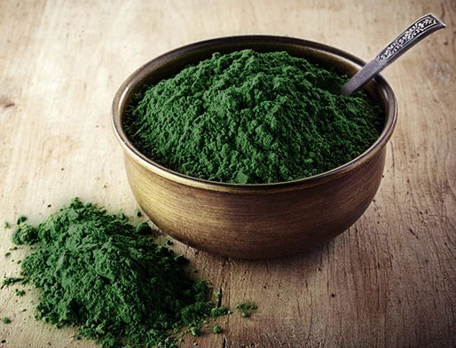 Wheatgrass - 16 oz. (16-80 servings)