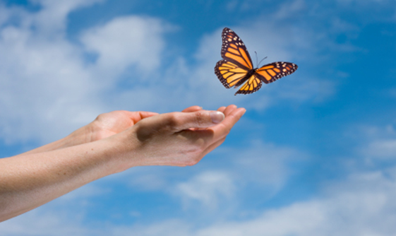 Becoming Your Best You