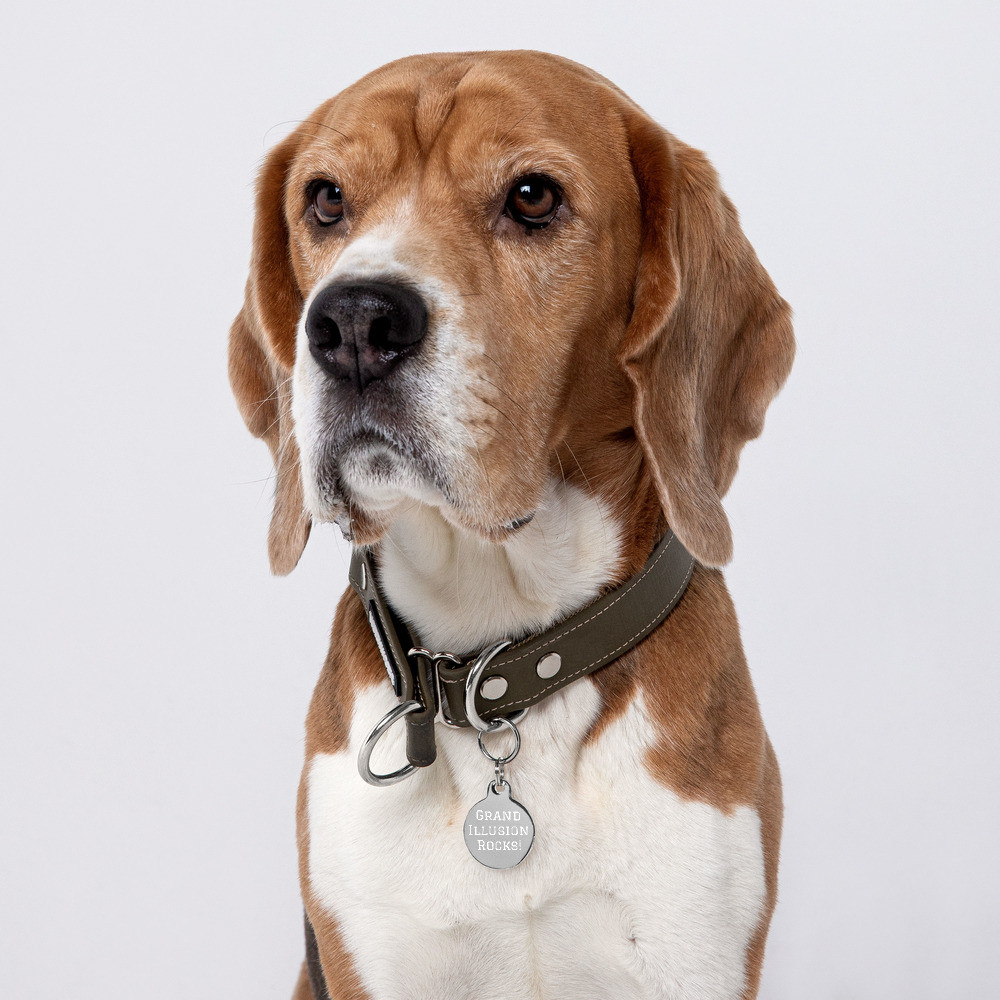 GRAND ILLUSION ROCKS! Engraved Key Ring - Pet ID Tag