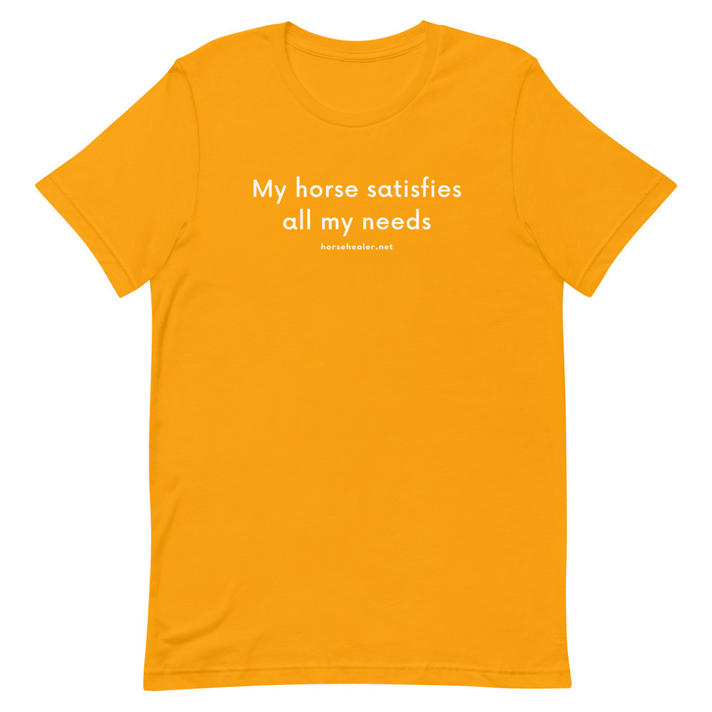 My Horse Satisfies All My Needs Short-Sleeve Horse T-Shirt | Equestrian Shirt | Funny Horse Shirts