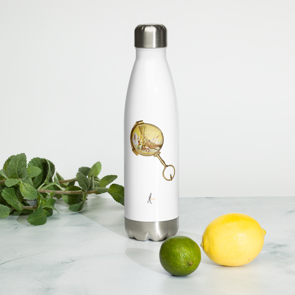 Stainless Steel Water Bottle