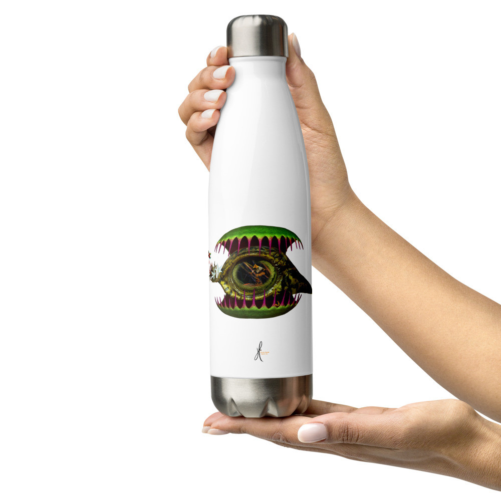 Stainless Steel Water Bottle