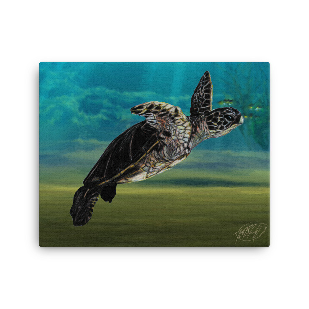 Sea Turtle Canvas