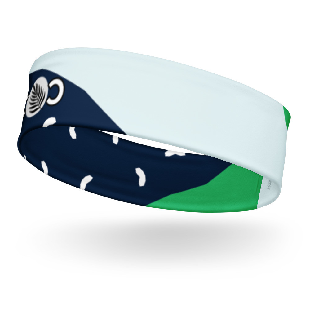 Multicolored Headband