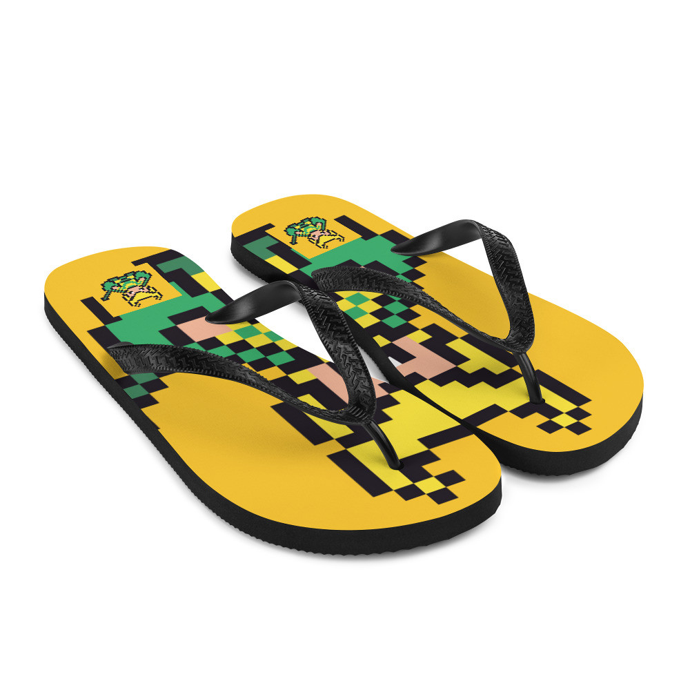 Flip-Flops MiniSuperPower