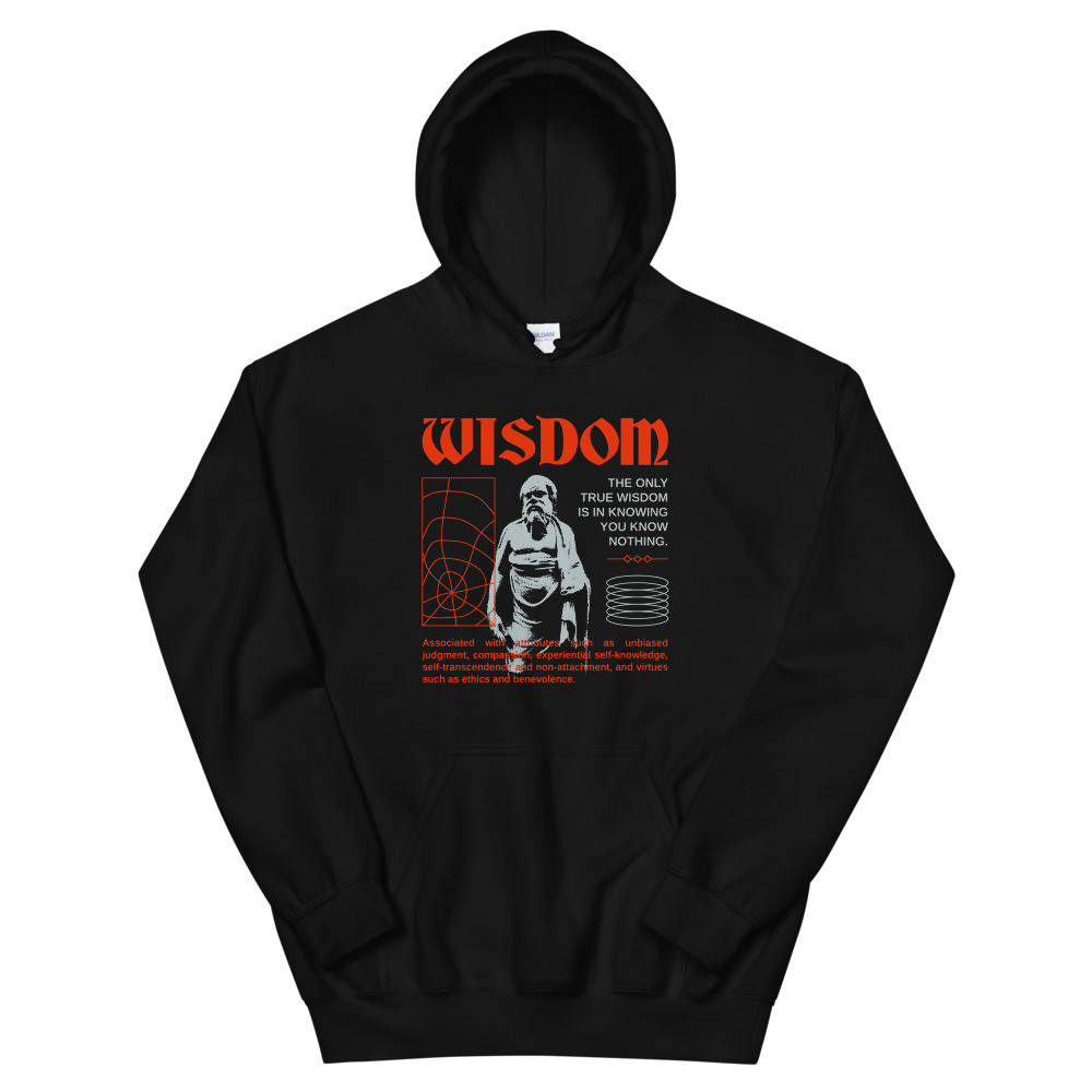 WISDOM VIRTUE404 UNISEX HOODIE
