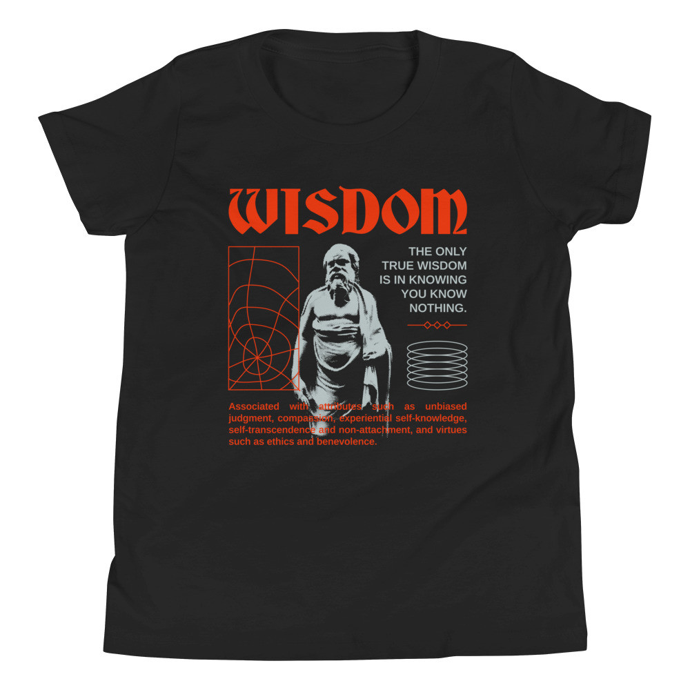 WISDOM VIRTUE404 YOUTH UNISEX SHORT SLEEVE SHIRT