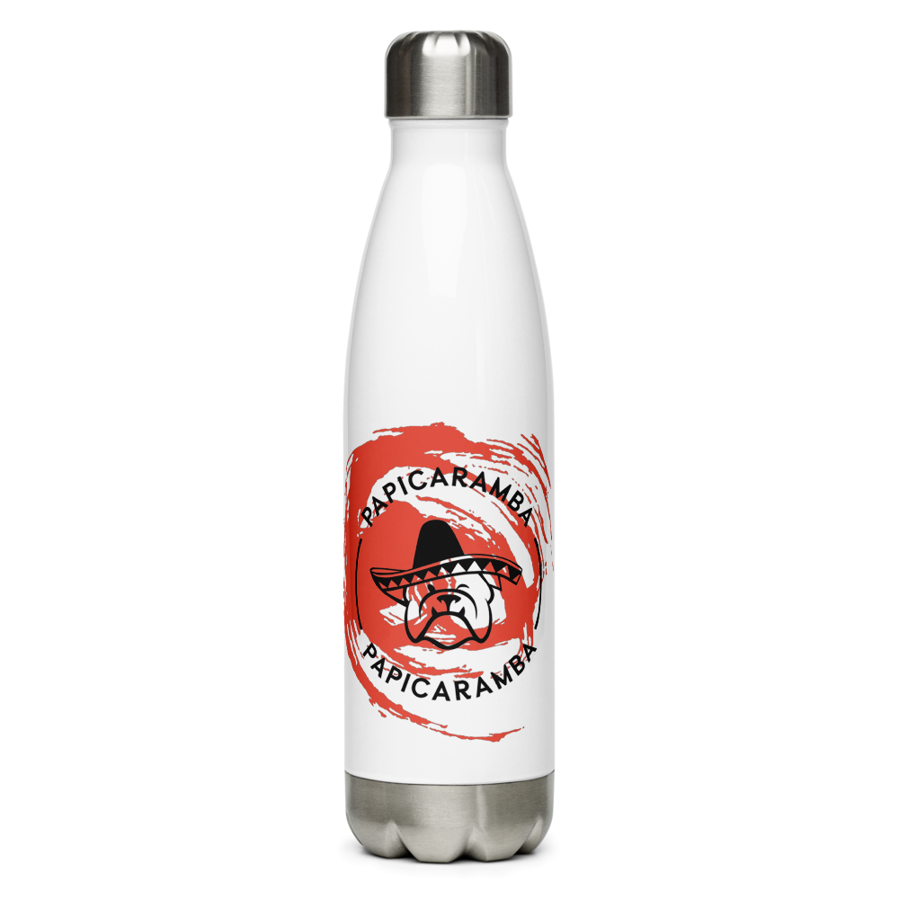 Stainless Steel Water Bottle