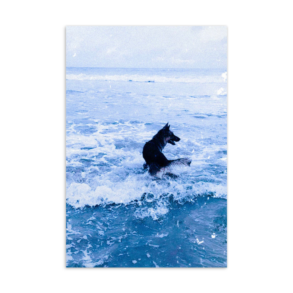 Standard Postcard
