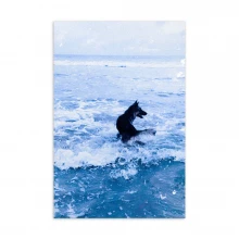 Standard Postcard