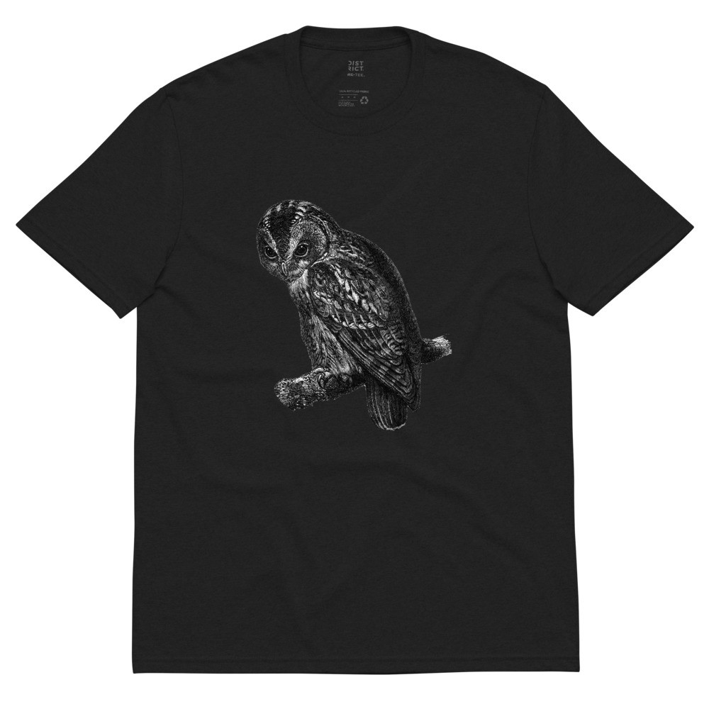 Darkness My Friend Power Of Owl 