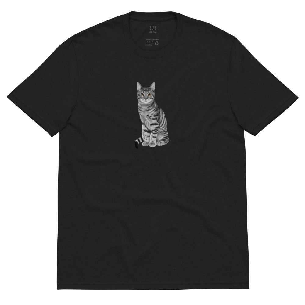 Angel Cat Take Me Home And Care For Me