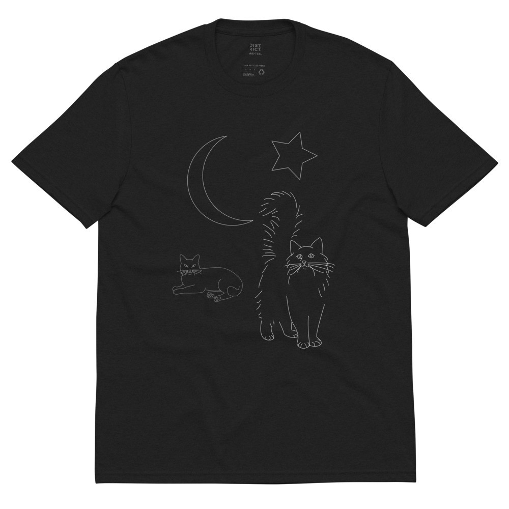 Angel Cat Outline At Night Time
