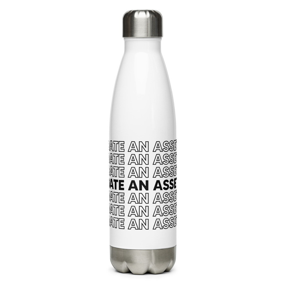 Date An Asset Stainless Bottle