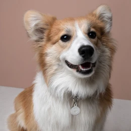 Daisy Heart Love - Engraved pet ID tag