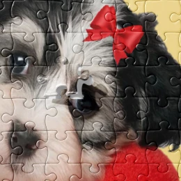 Gen Z Moma - Crockett Doodles pup - Jigsaw puzzle for those who play hard.