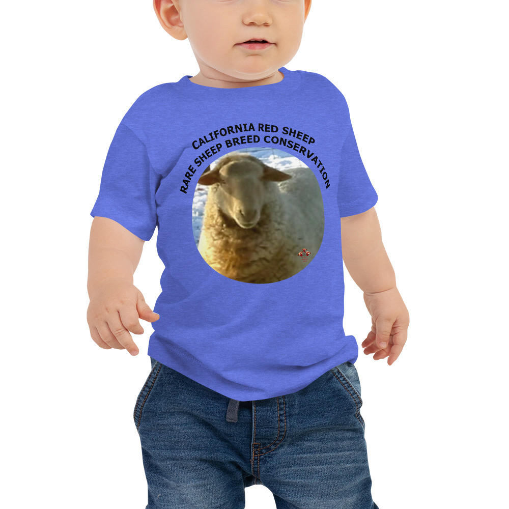 California Red Sheep Rare Sheep Breed Conservation Baby Jersey Short Sleeve Tee