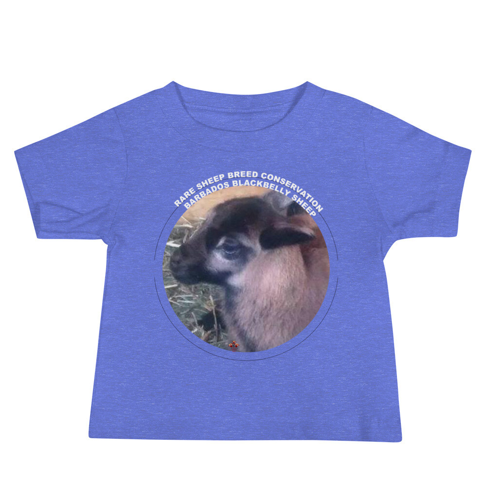 Barbados Blackbelly Sheep Rare Sheep Breed Conservation Baby Dark Color Jersey Short Sleeve Tee