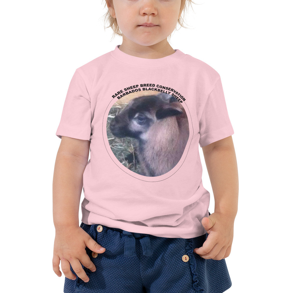 Barbados Blackbelly Sheep Rare Sheep Breed Conservation Toddler Dark Color Short Sleeve Tee copy