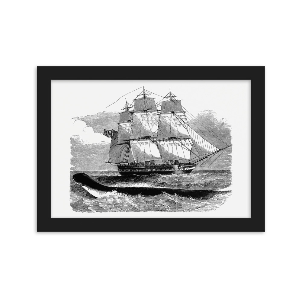 Framed matte paper poster: Sailing Ship