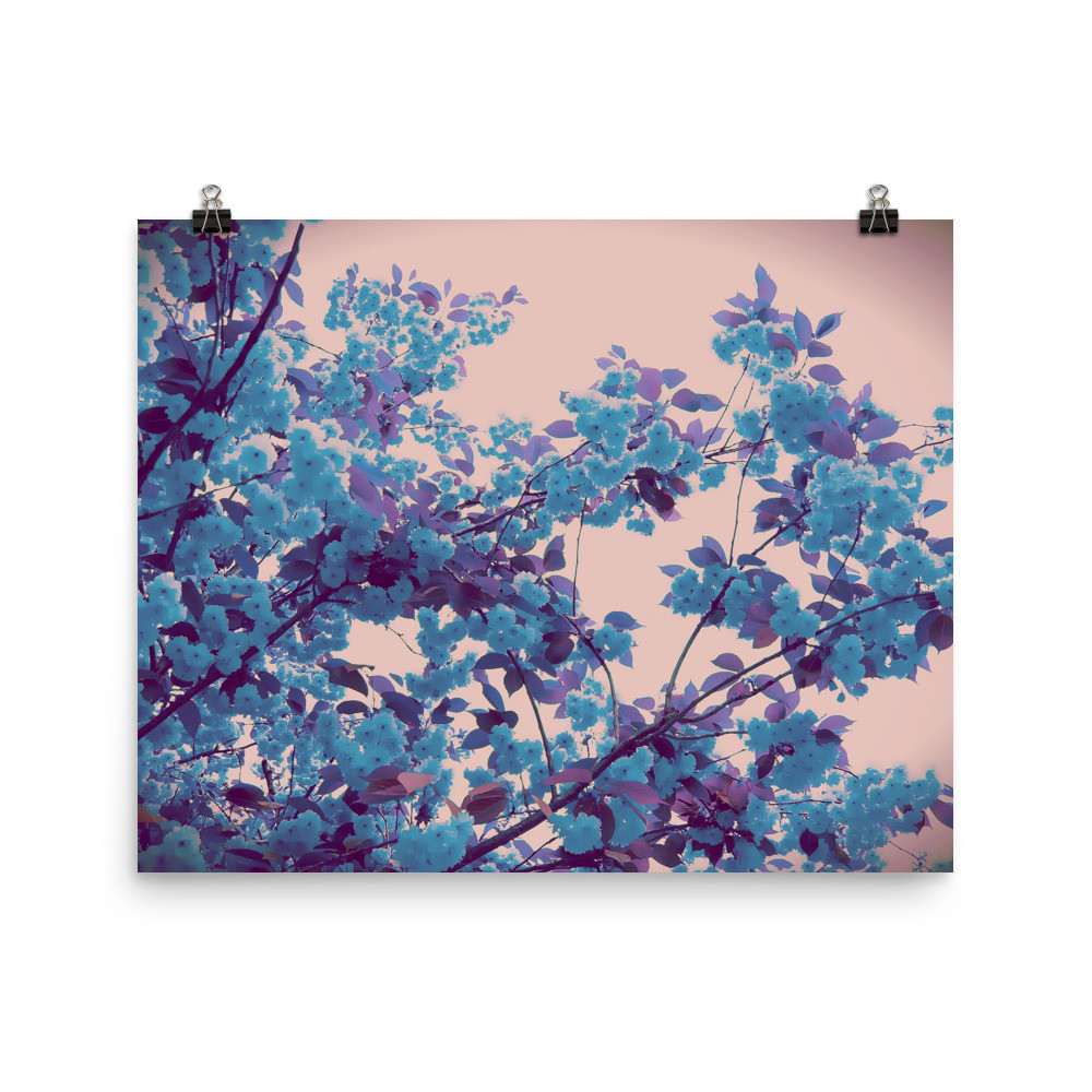 Sakura Blue (Photo paper poster)