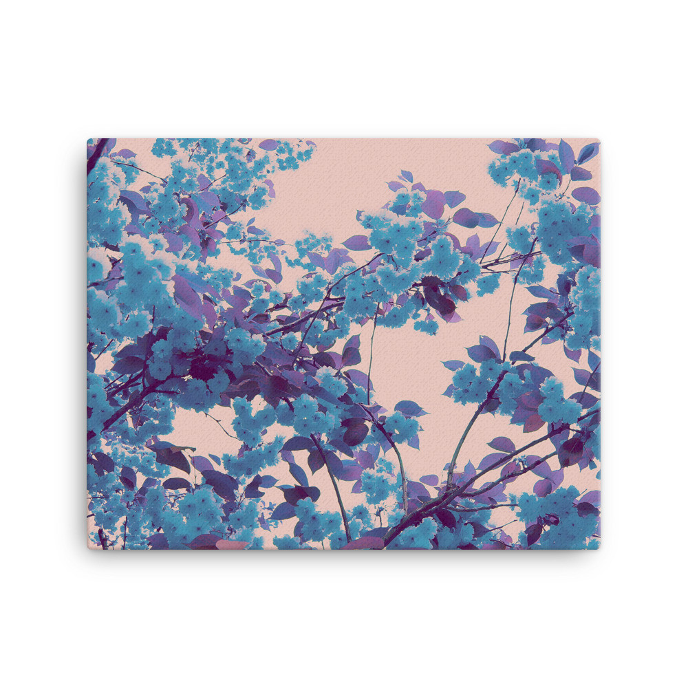 Sakura Blue (Canvas) 