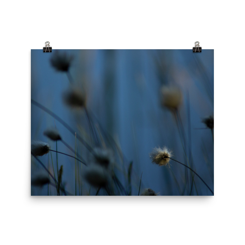 Dancing at the sunset (Photo paper poster)