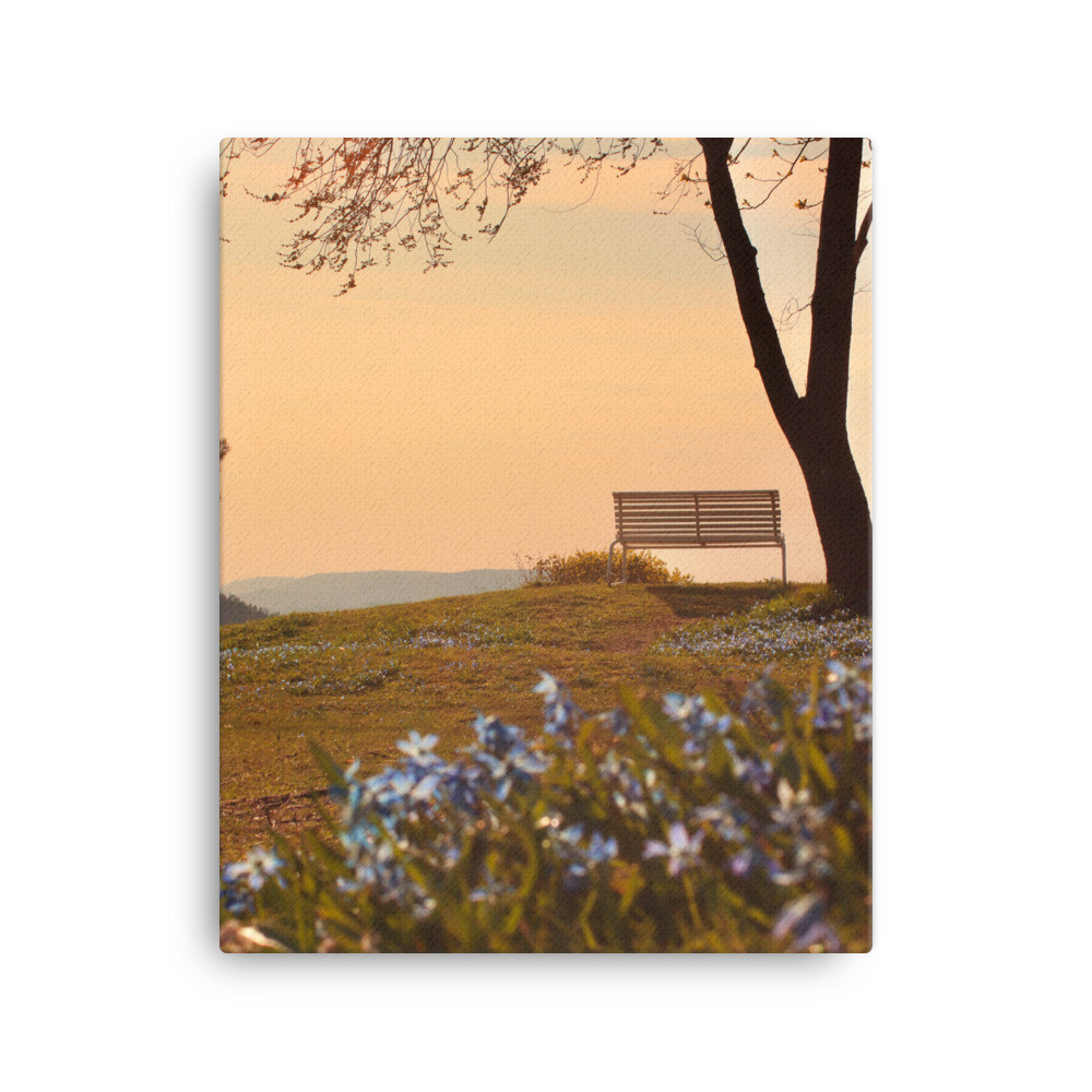 Dreamy Spring