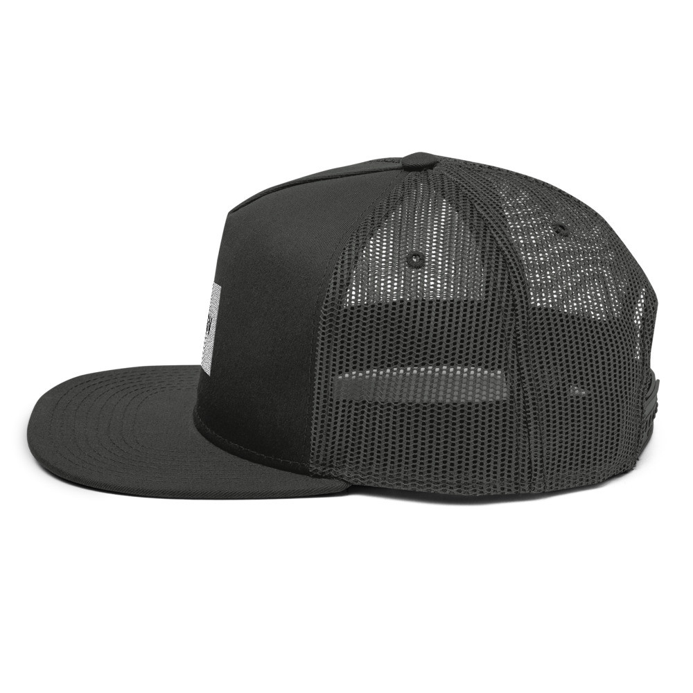 GV Snapback