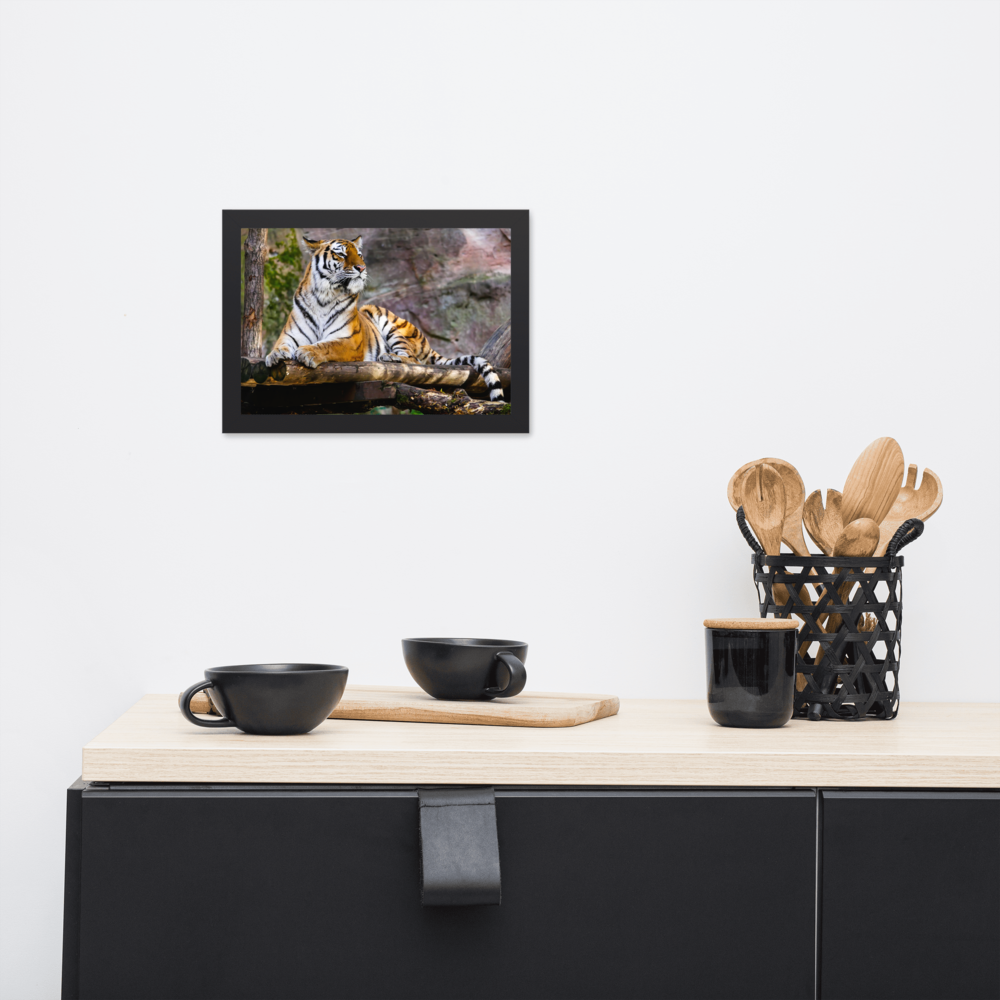 Tiger Framed matte paper poster