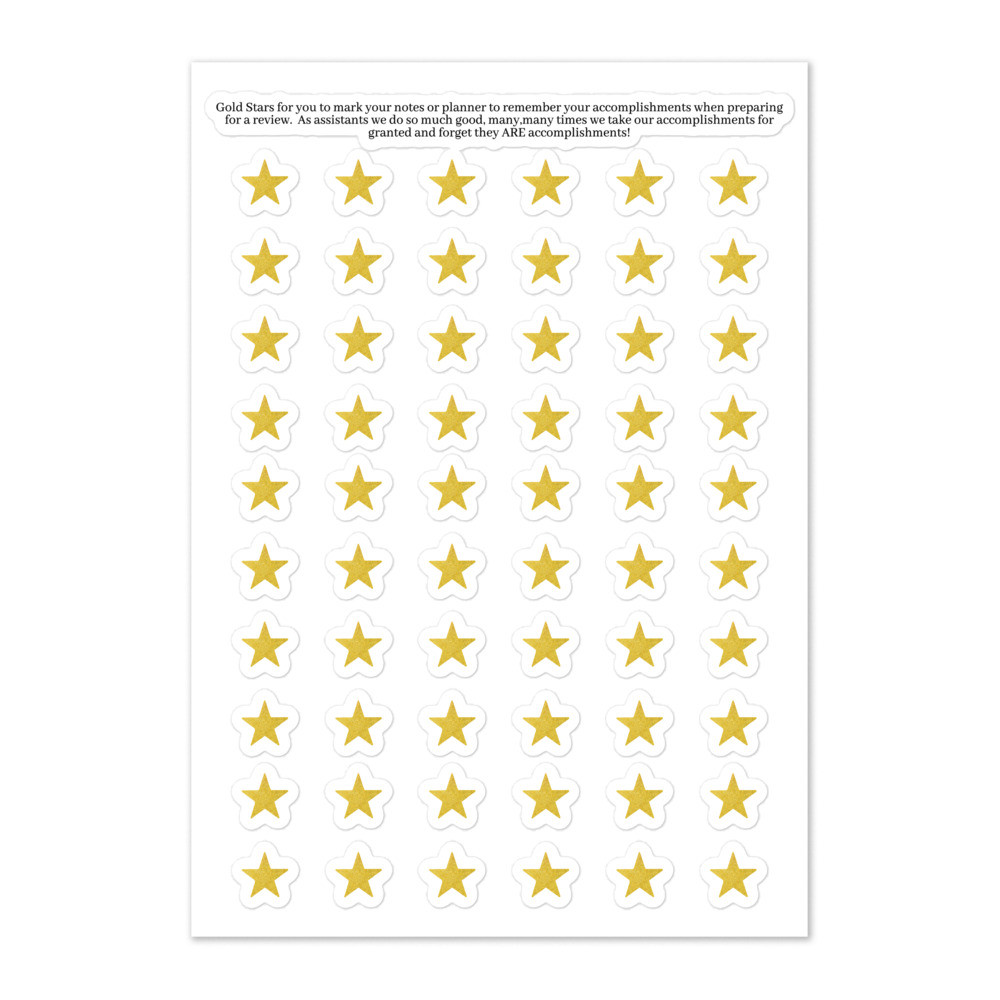 Stars to Remember Your Wins - Sticker sheet