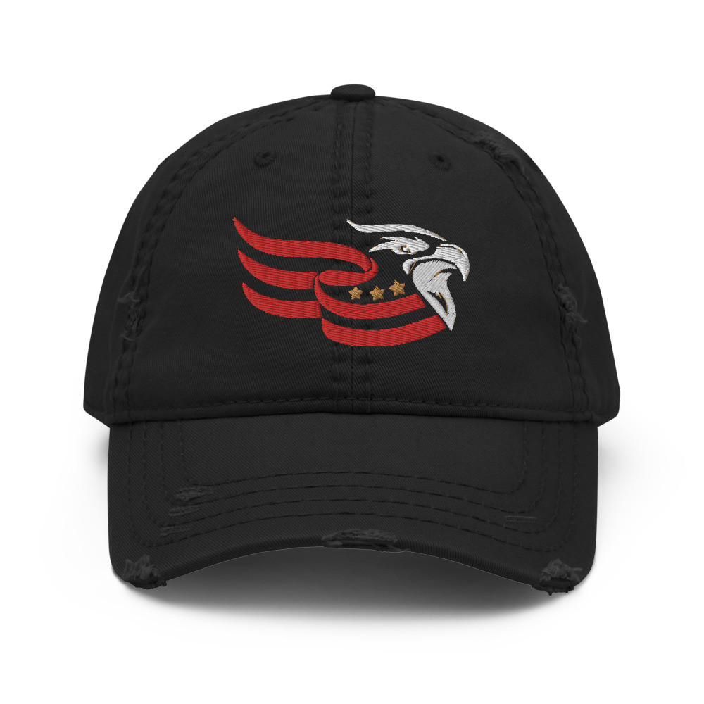 American Eagle Distressed Dad Hat