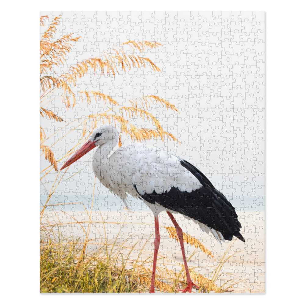 Stork Walking On Beach Jigsaw Puzzle