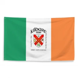 Kildare Crested Irish Flag