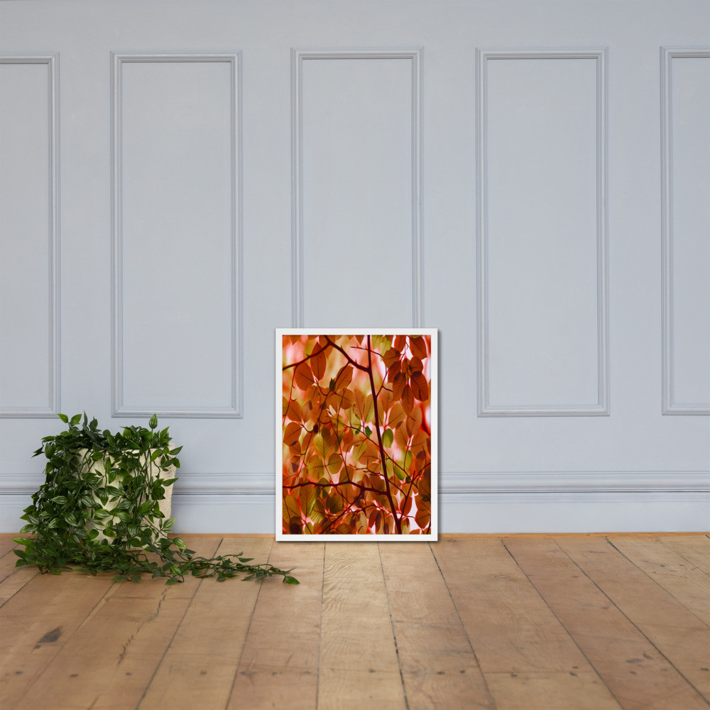 Leaves - Framed poster