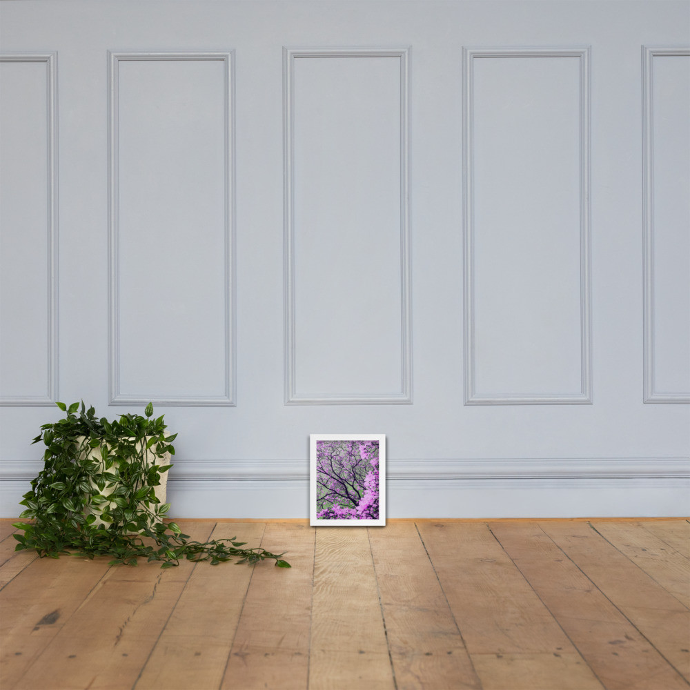 Cherry Blossom - Framed poster