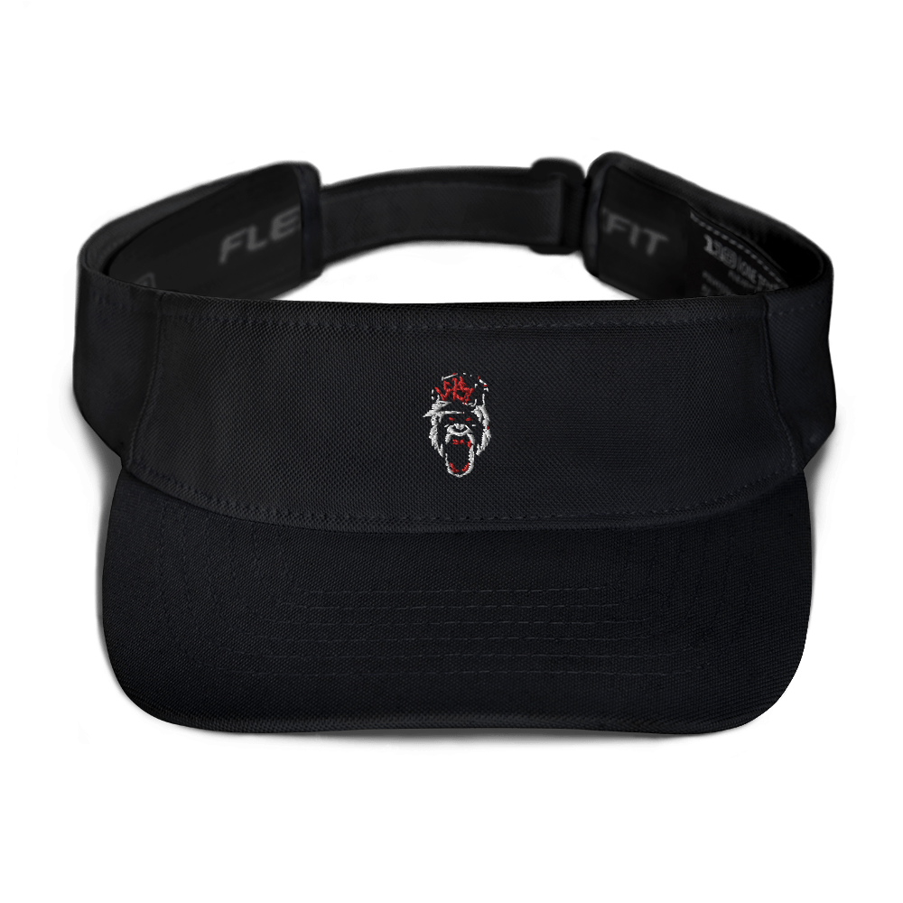Visor