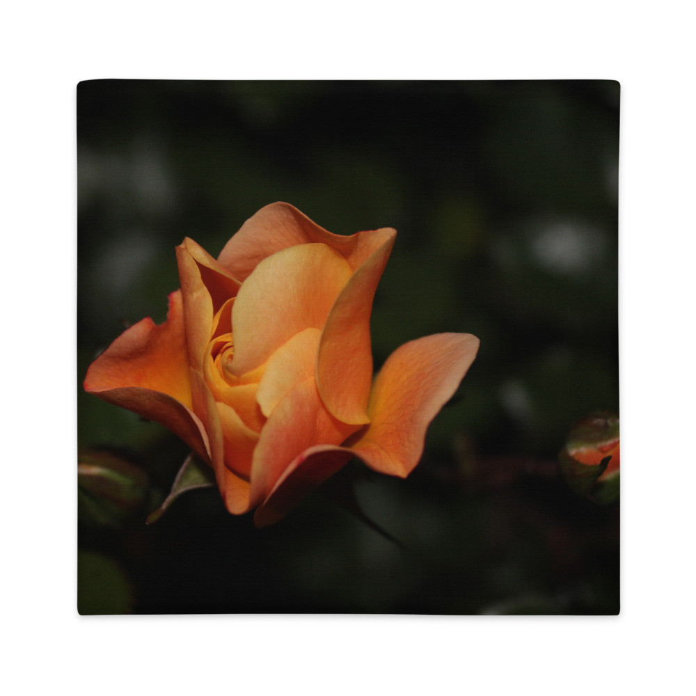 Premium Pillow Case