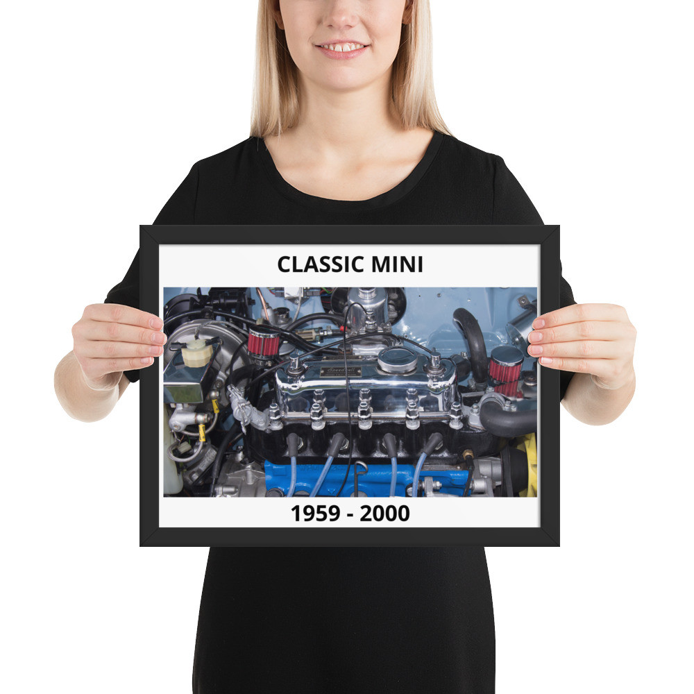 Framed matte paper poster